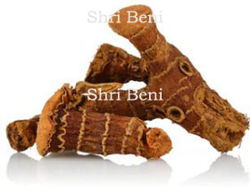 Galanagal