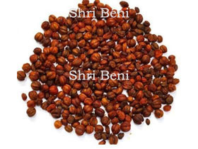 Malkangni Seed