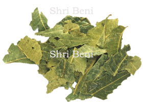 Neem