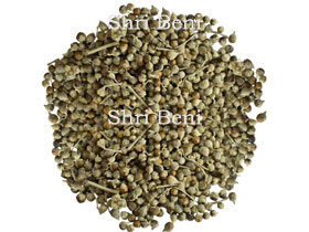 Nirgundi