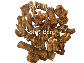 Sarsaparilla