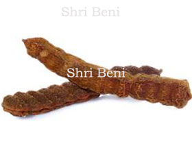 Shikakai