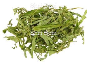 Stevia