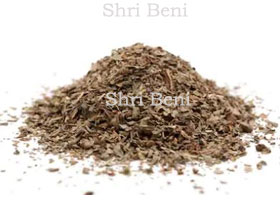 Tulsi
