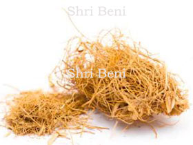Vetiver